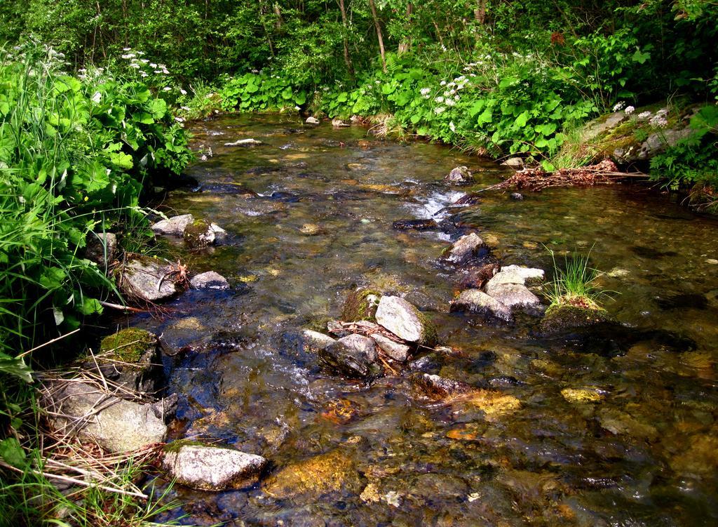 Penzion Adam Adamov (Moravia-Silesia) Bagian luar foto